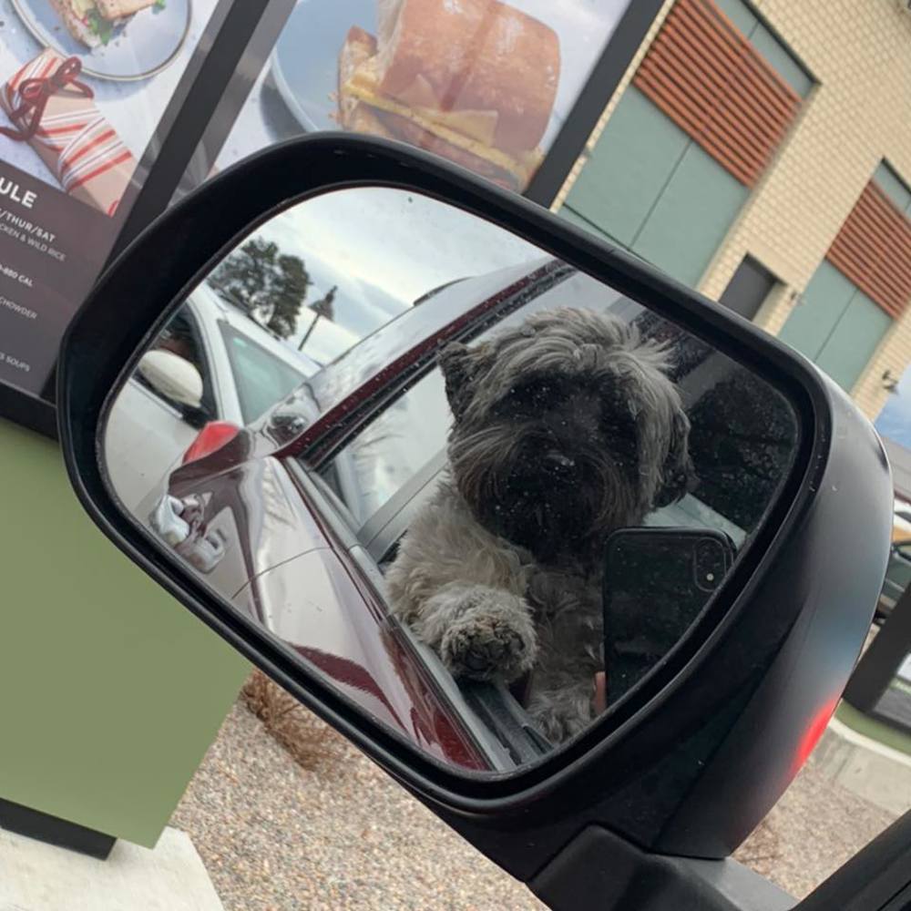 Meet your Posher, Katie